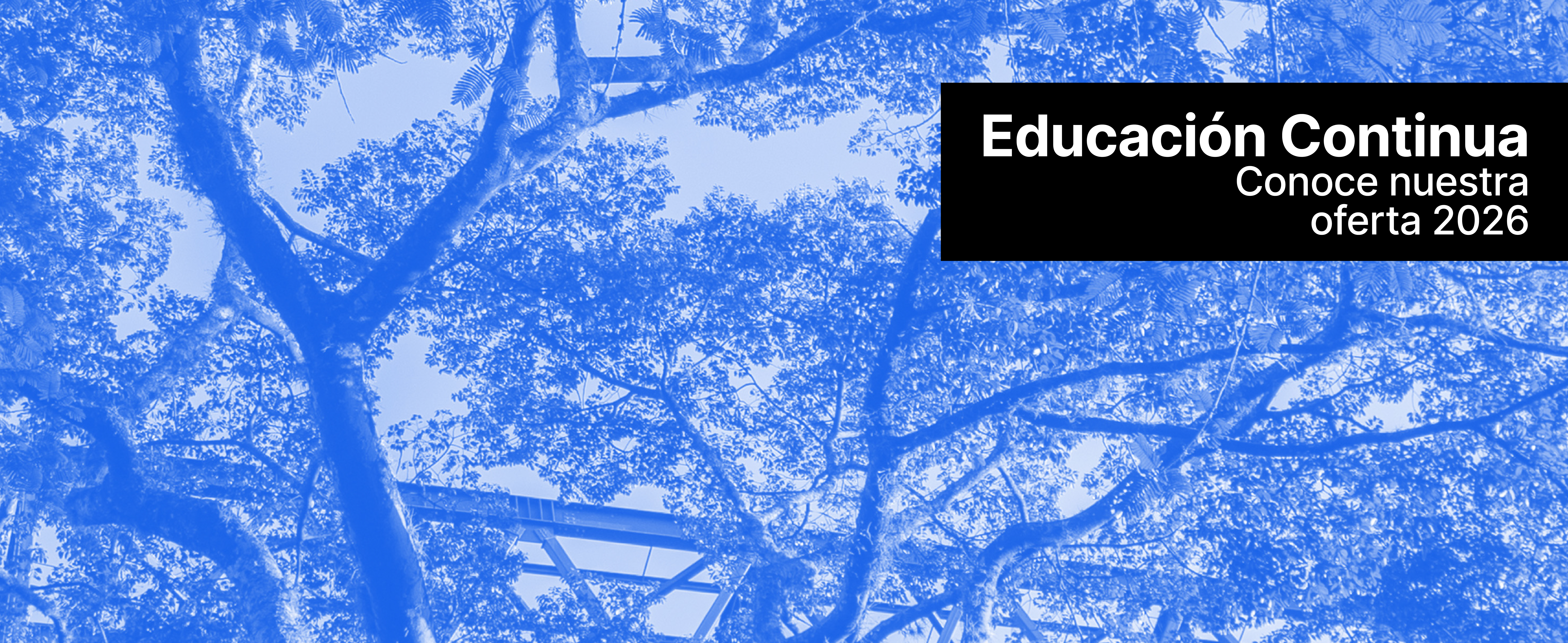 Imagen ¡Matricúlate ahora con tarifas de 2025!