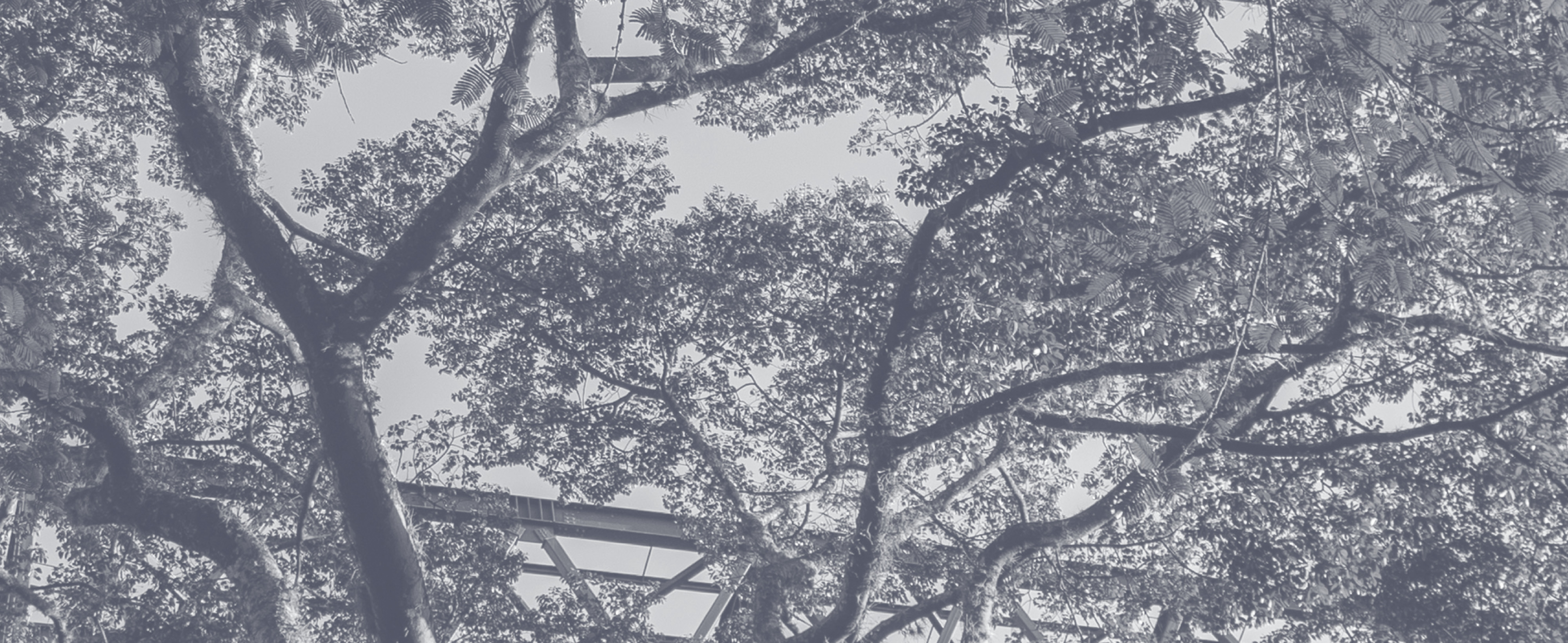 Imagen Conoce nuestra oferta de Educación Continua 2026